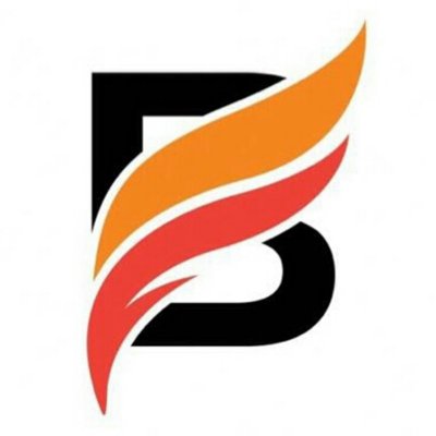 Black Pearl impex logo