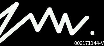 ZVW ENTERPRISE logo