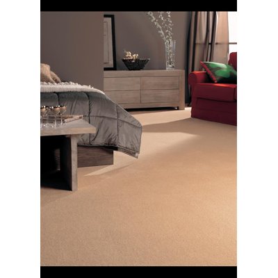 RICH Carpet Roll