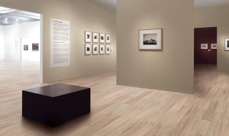 Vinyl Flooring 3mm RW 1204