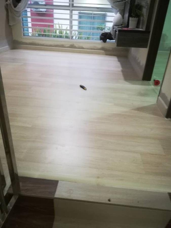 Laminate Flooring AC5 8mm TW 10636 Canyon Frontier