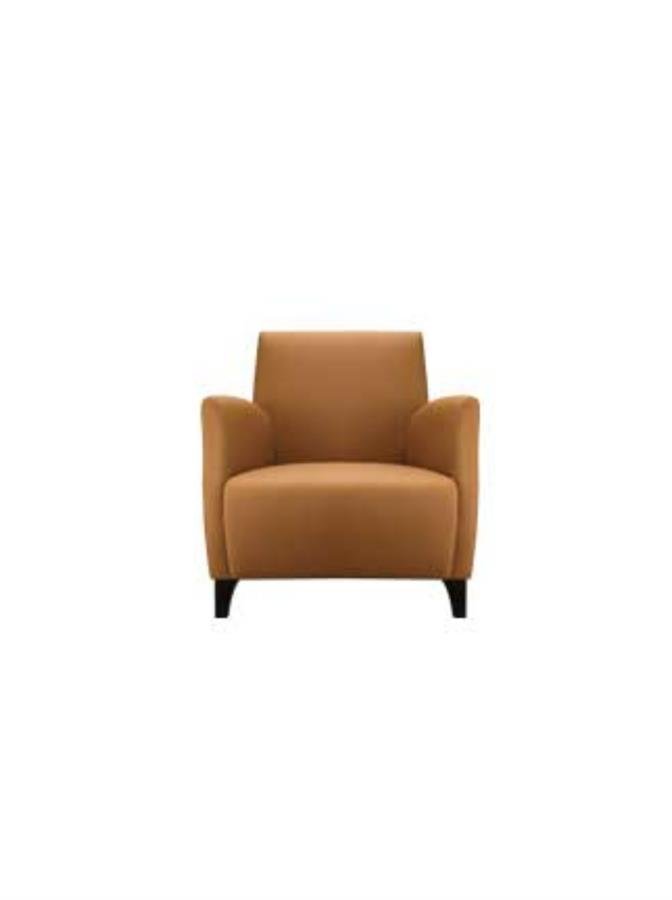 Lounge & Sofa Chair Bardi ZT023-1A