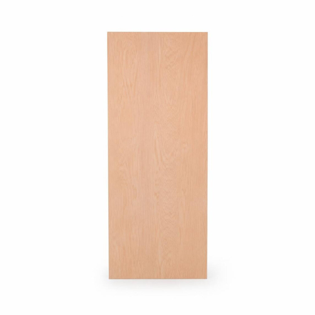 29" 6/8" (30") X 82" PLYWOOD DOOR