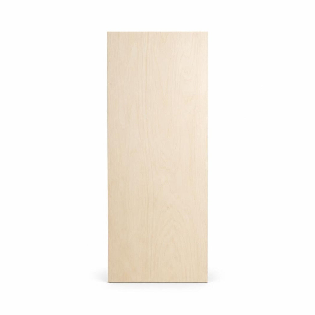 34" X 82" PLYWOOD DOOR