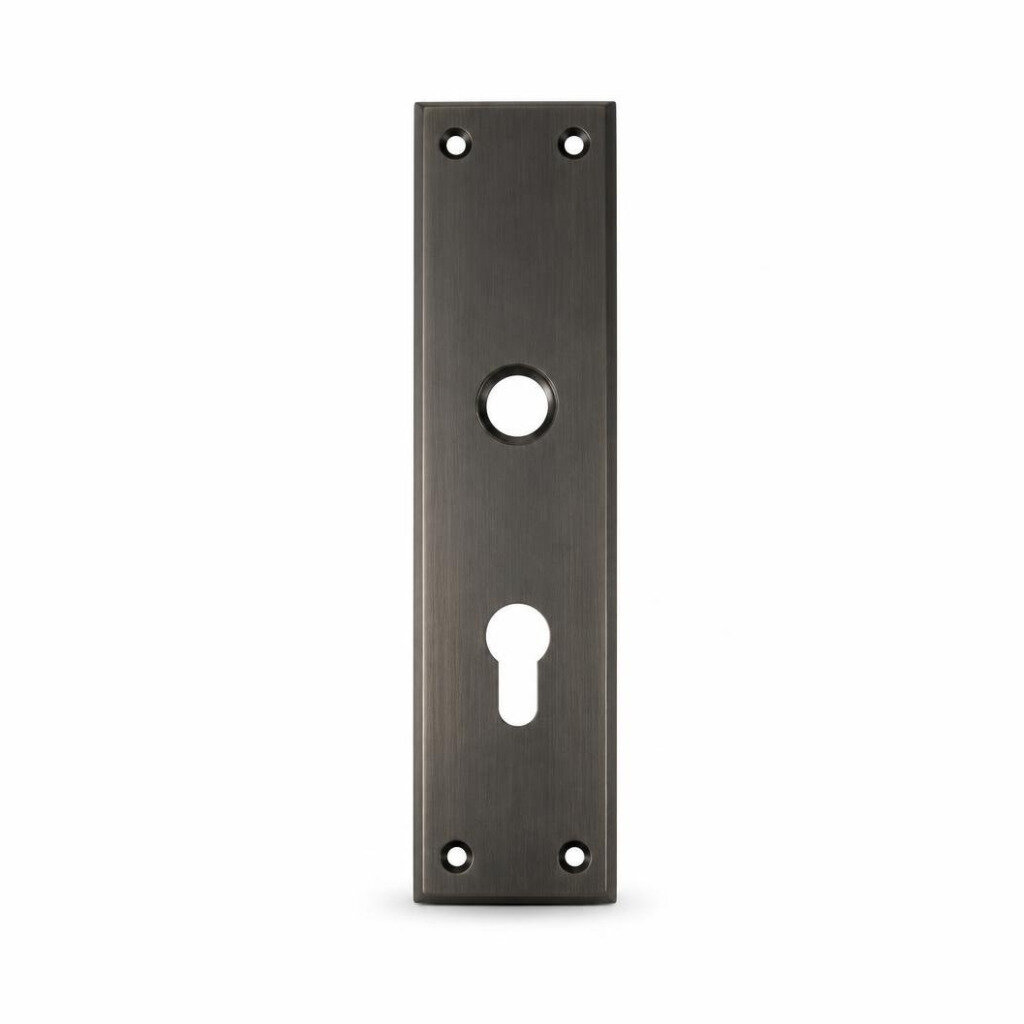 M-HING FATT DL05-SB DOOR PLATE