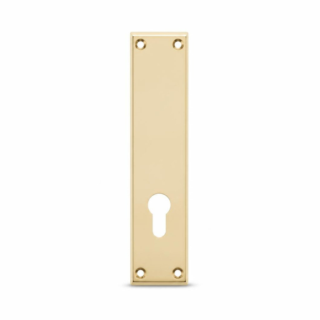 M-HING FATT DL05-GB DOOR PLATE