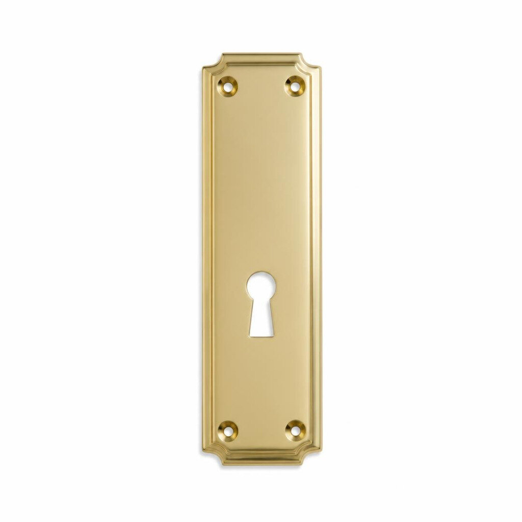 KR K3 118X256MM HEROIC DOOR PLATE