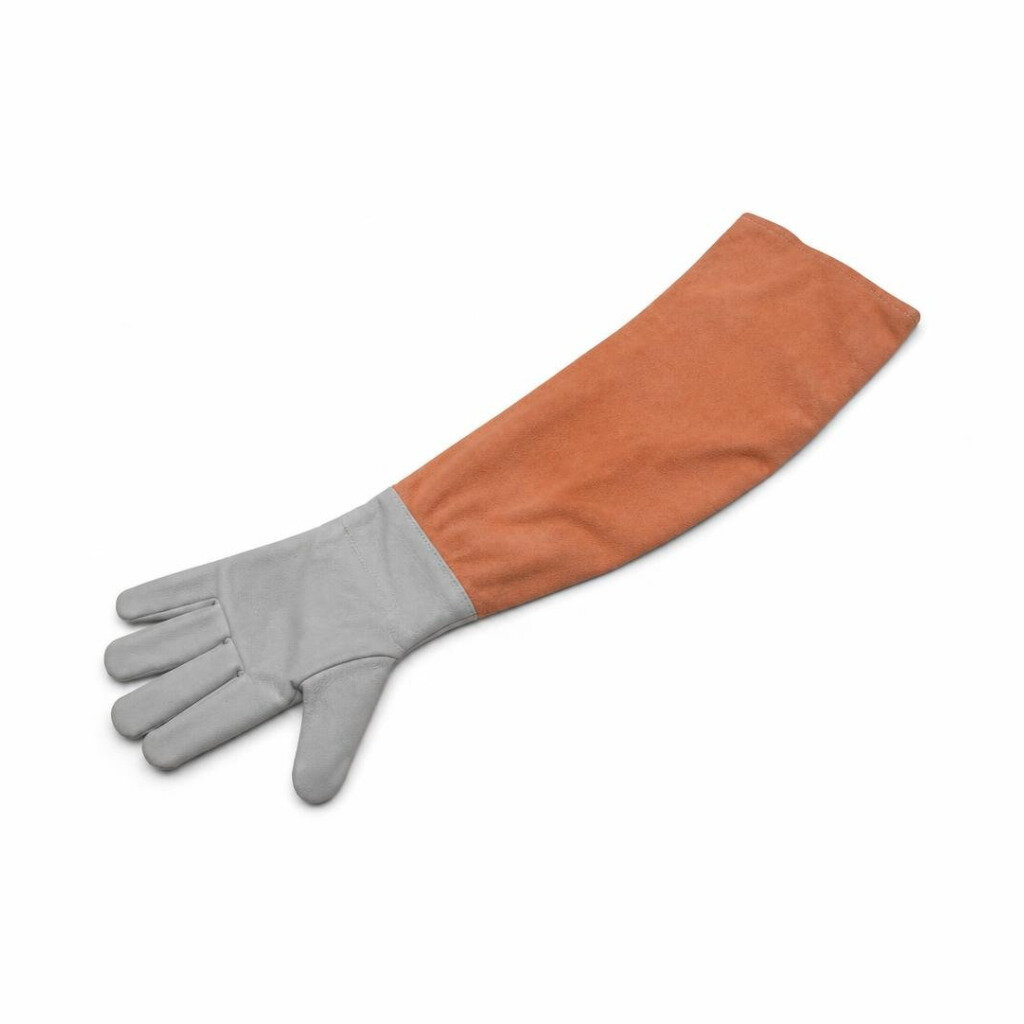 ARM GLOVE
