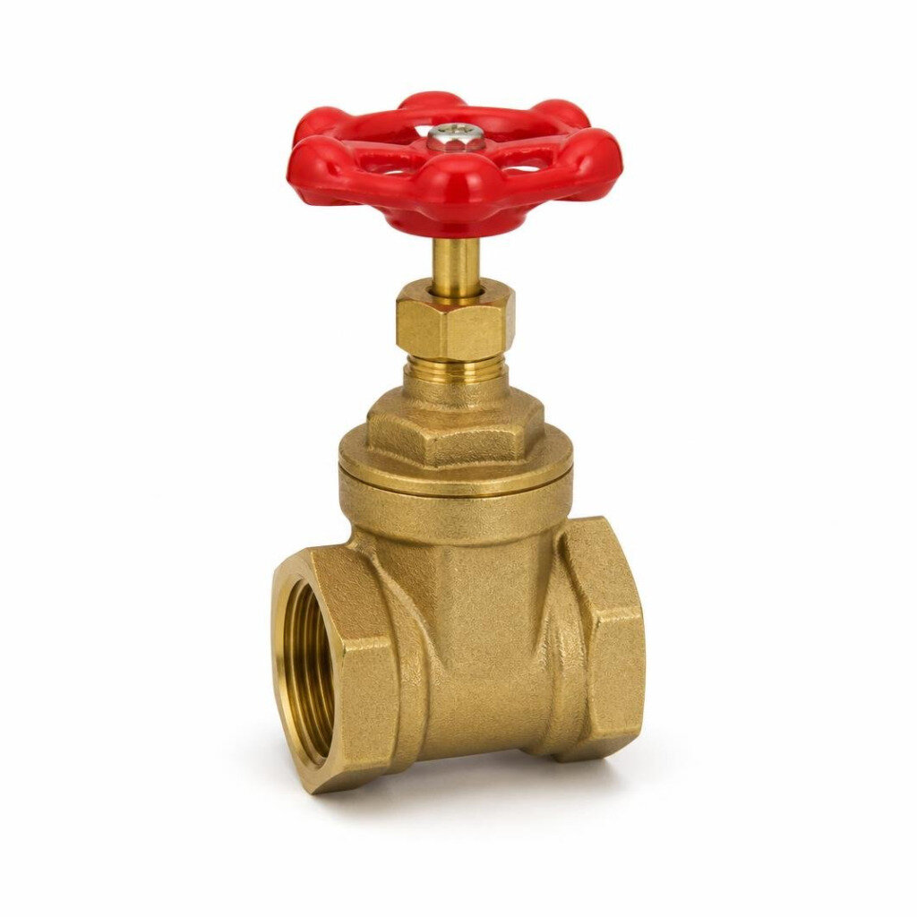 40MM BRASS GATE VALVE PN10