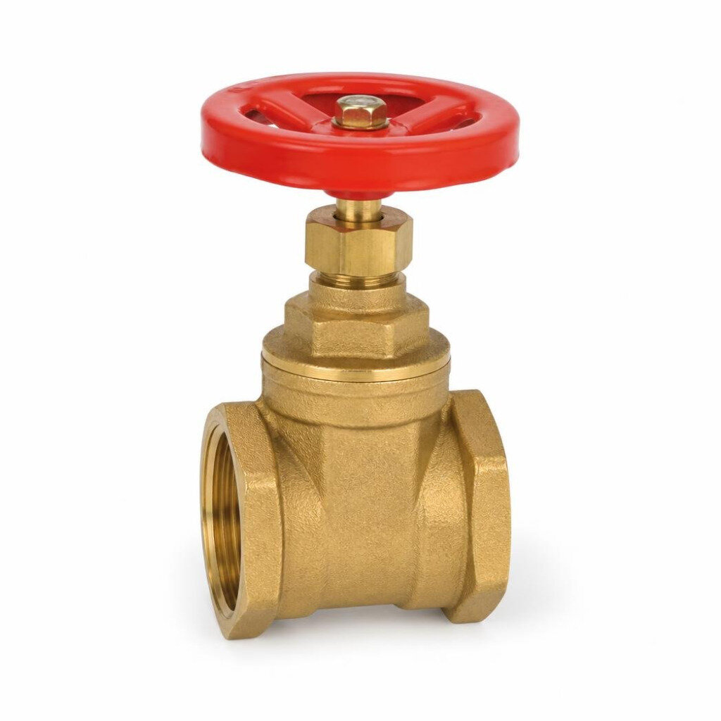 CN 50MM BRASS GATE VALVE PN10
