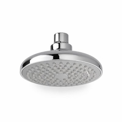 4" CHROME SHOWER ROSE