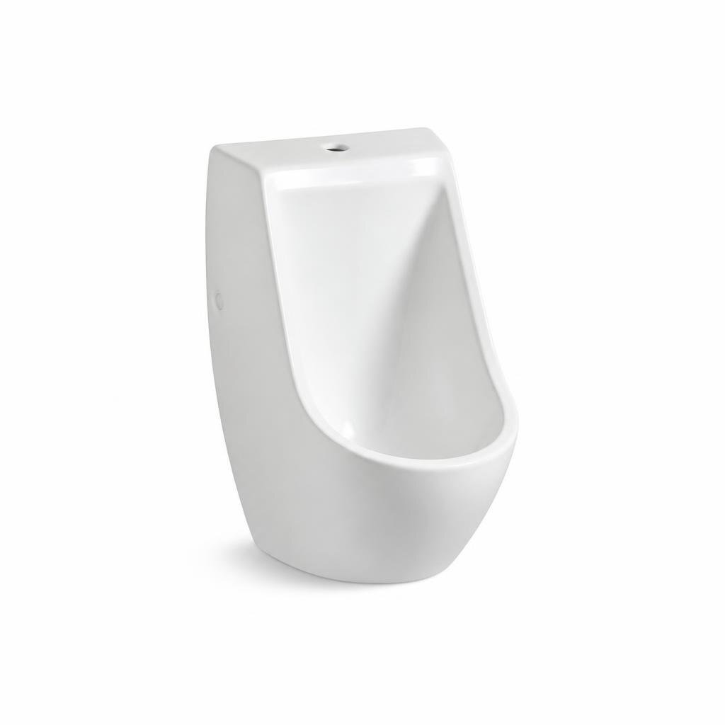 COTTA CT-BIRI710(01)-WW BIRI WALL HUNG URINAL BOWL