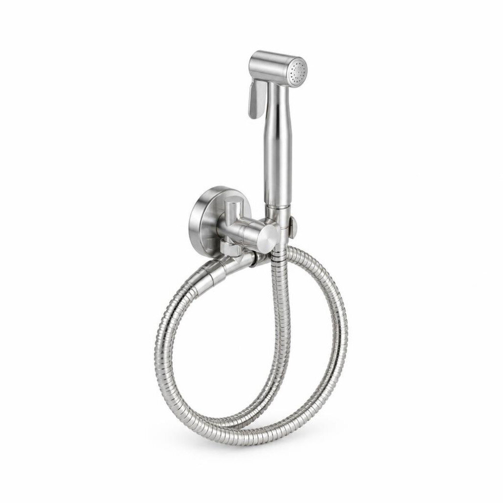 VIP V-6643 HAND BIDET WITH S/S HOSE