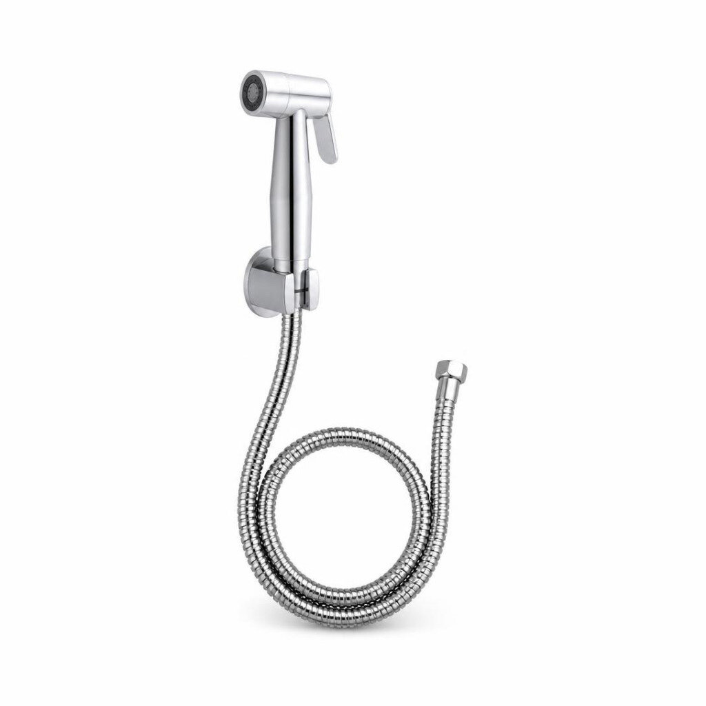 VIP V-6645 HAND BIDET WITH S/S HOSE