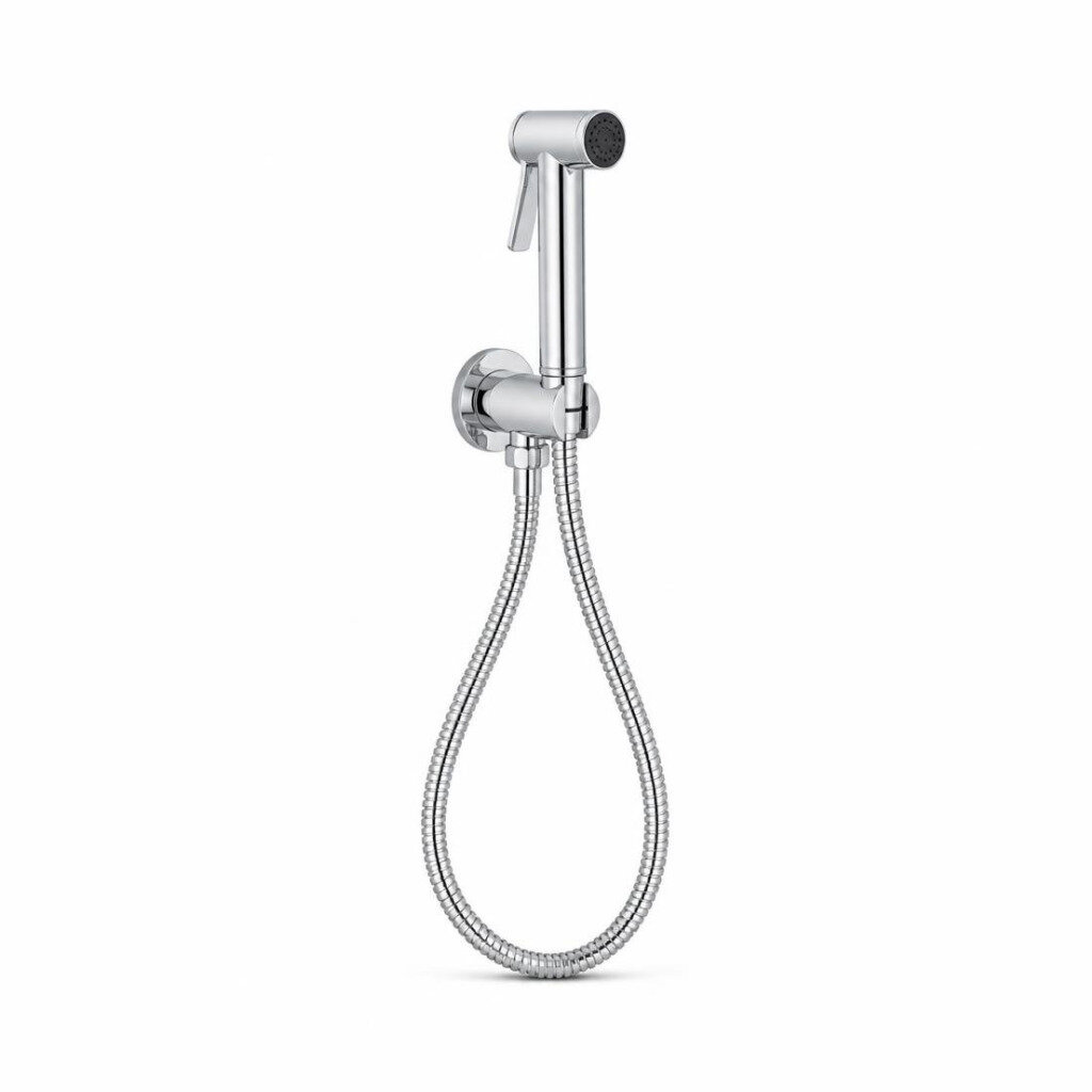 NTR C-33332 CHROME TOILET SPRAYER