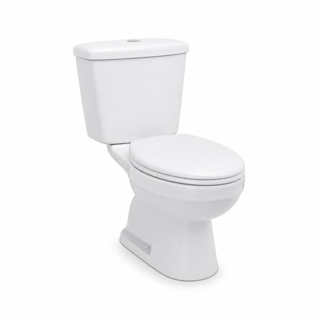 GOLDOLPHIN GDWC2002LLSF WASHDOWN WC