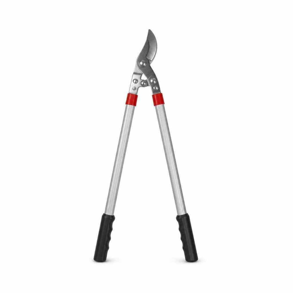 M10 9082 TREE PRUNING