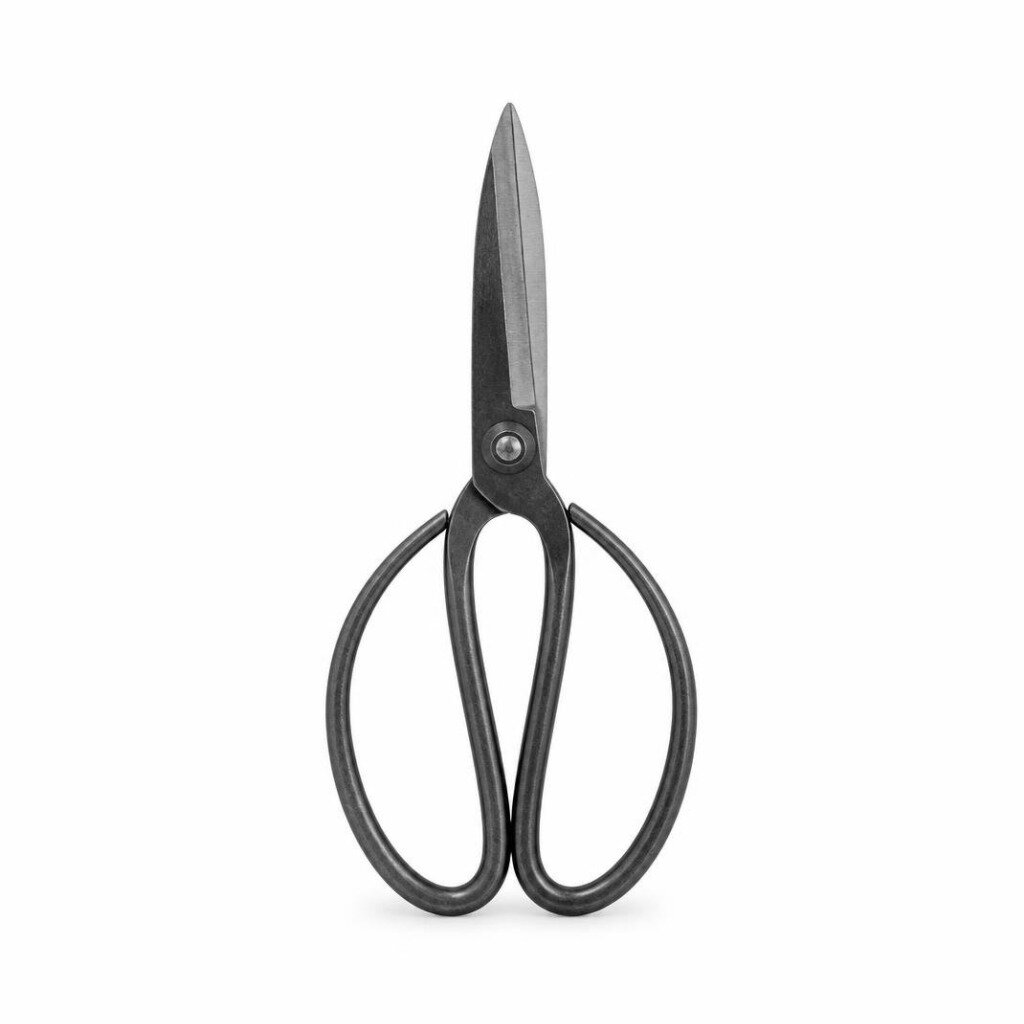 HARKCAPUT SC-08910-HCJYT249010 10" U SA TYPE IRON SCISSORS