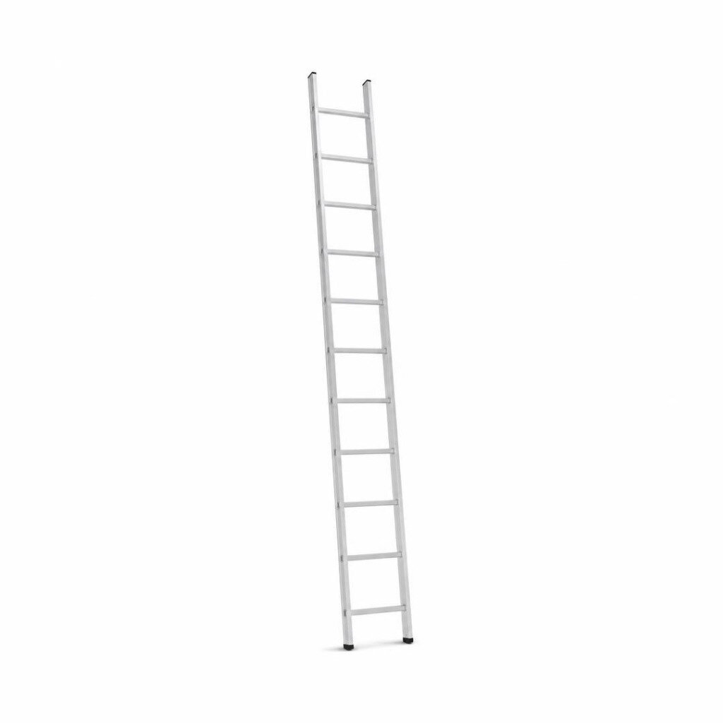 10FT SINGLE EXTENSION POLE LADDER