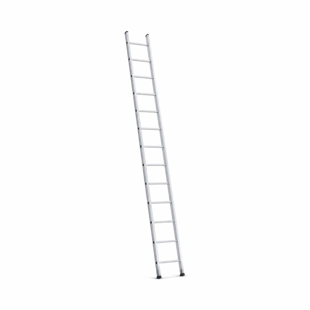 EVERLAST 18FT SINGLE EXTENSION POLE LADDER