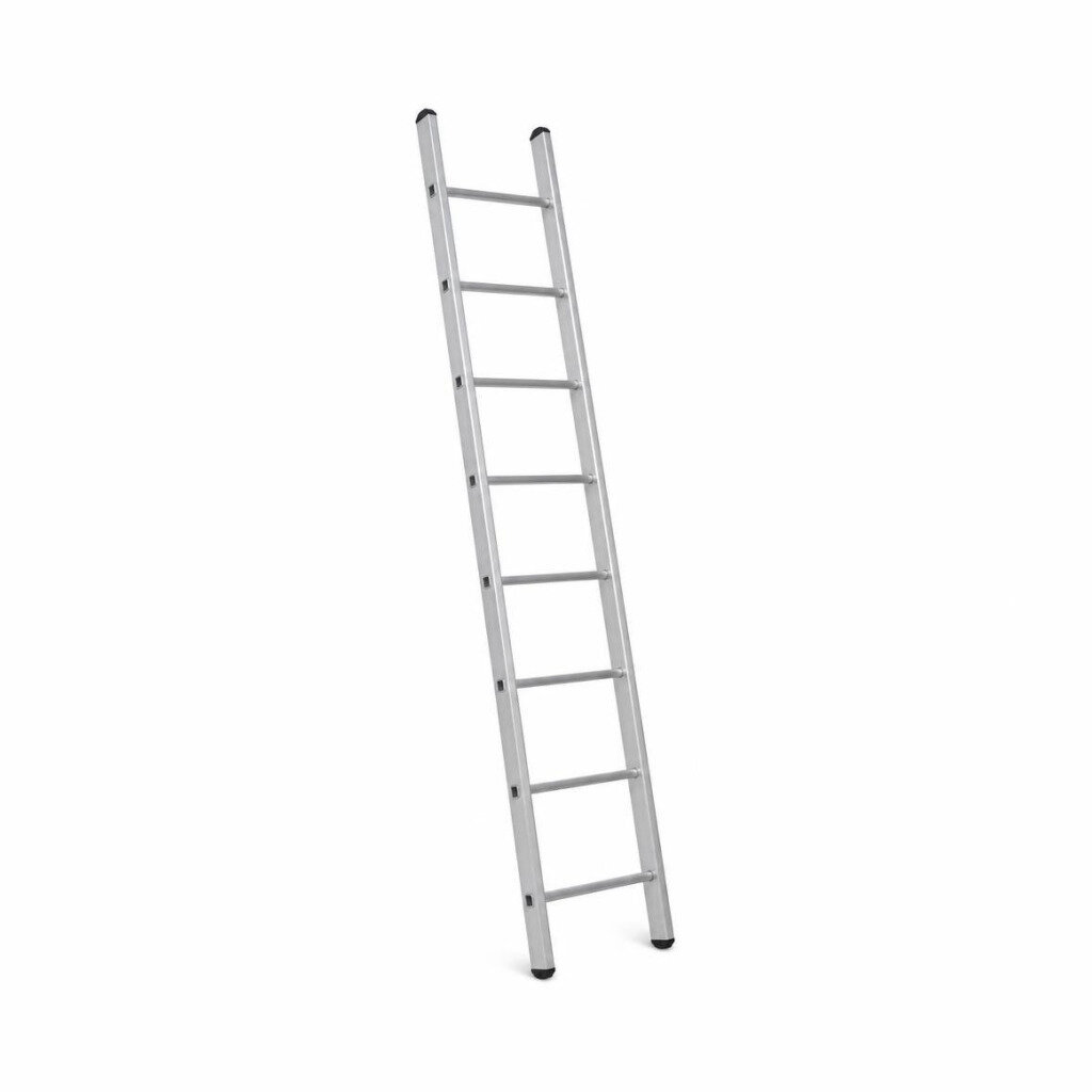 EVERLAS SS10 SINGLE SIDED LADDER