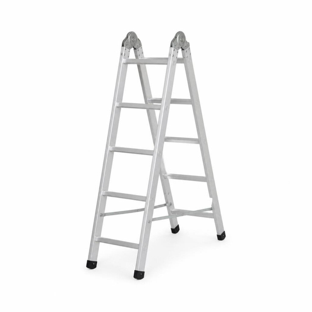 EVERLAS DS05 DOUBLE SIDED LADDER