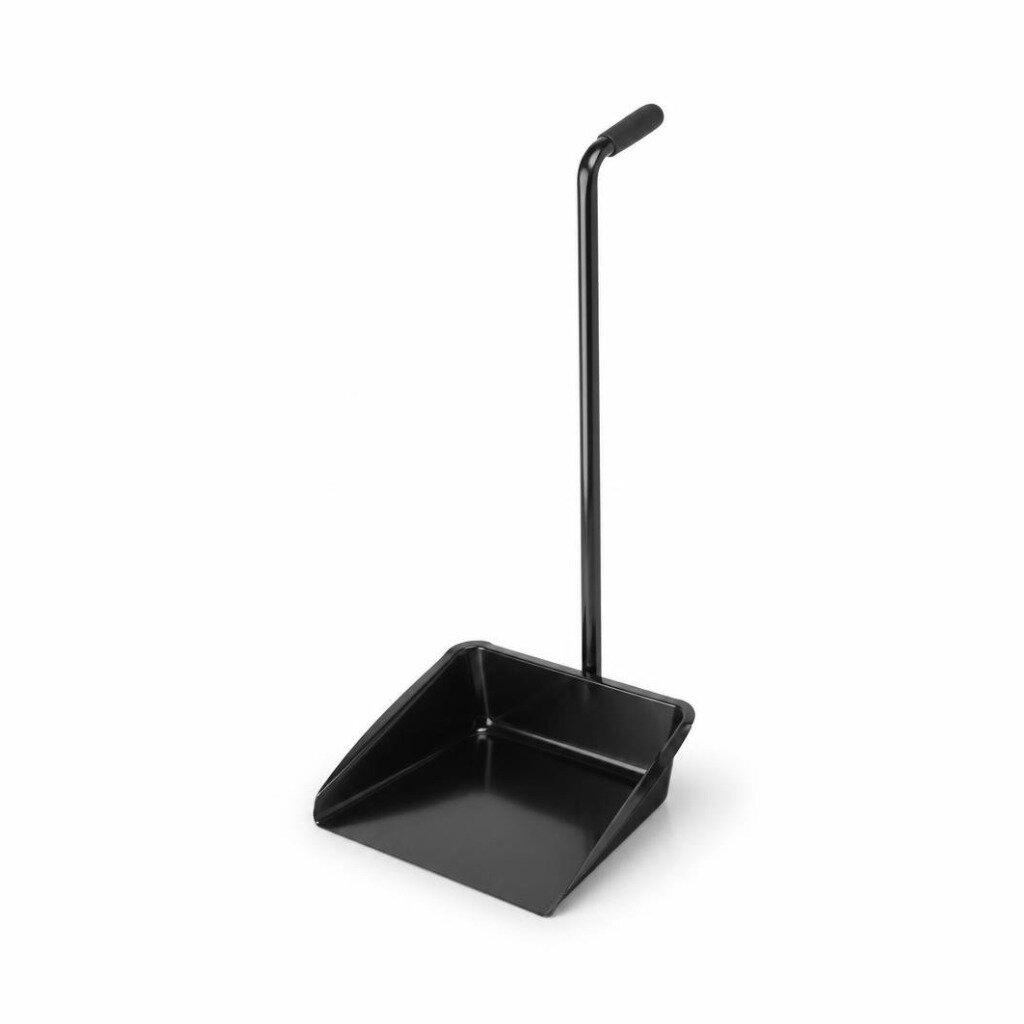 RAYACO 369MB LOBBY DUSTPAN WITH IRON HANDLE