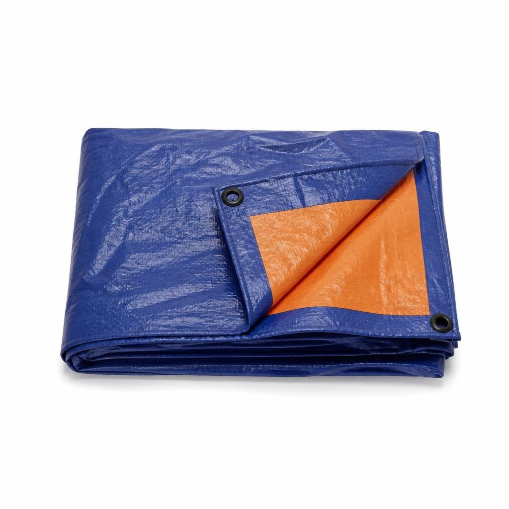 BOC 20X24 BLUE & ORANGE CANVAS