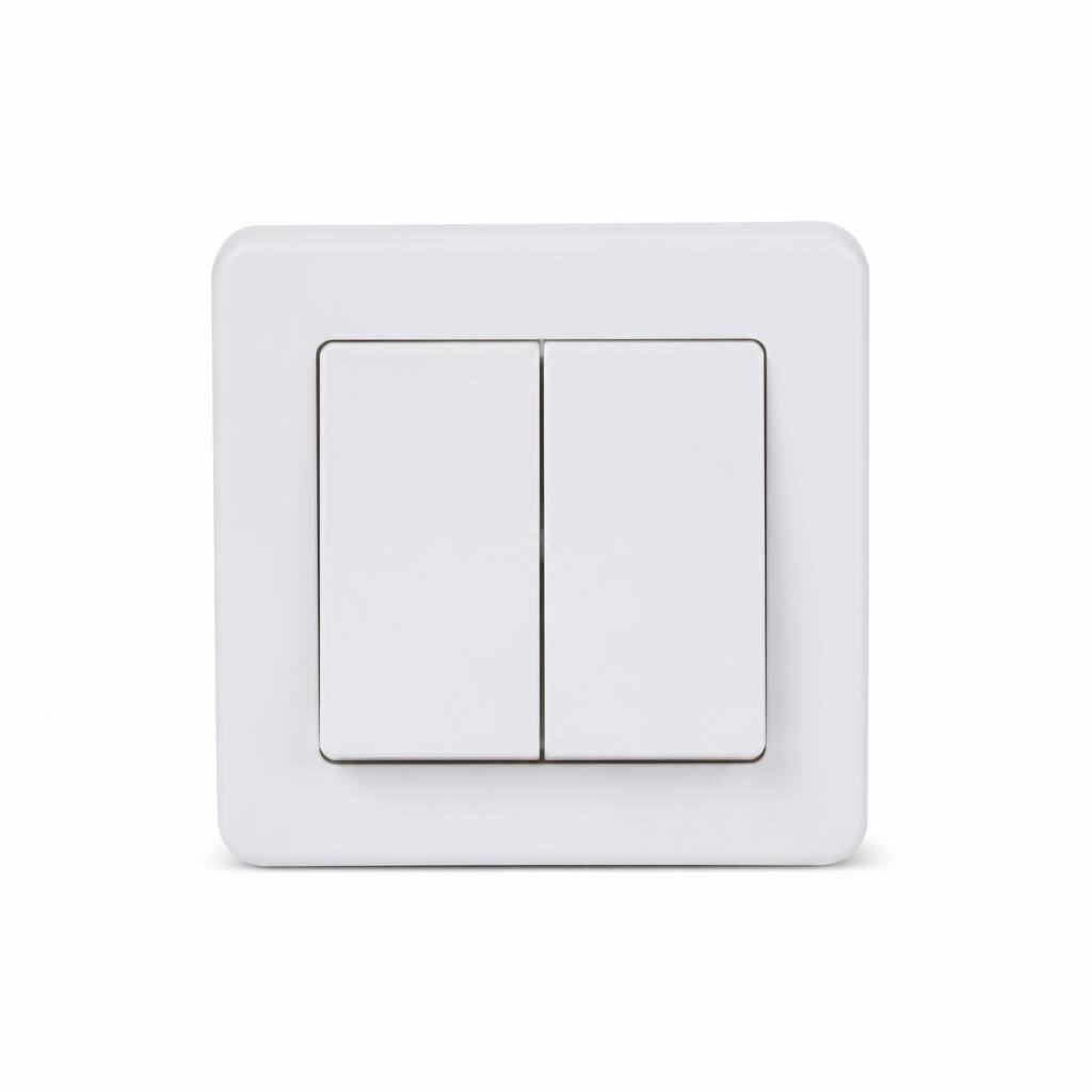 SIEMENS 2G2W SWITCH