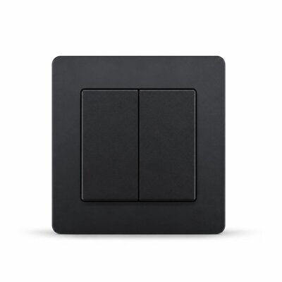 HAGER MUSE WGML122KB 2G 2W SWITCH (KNIGHT BLACK)
