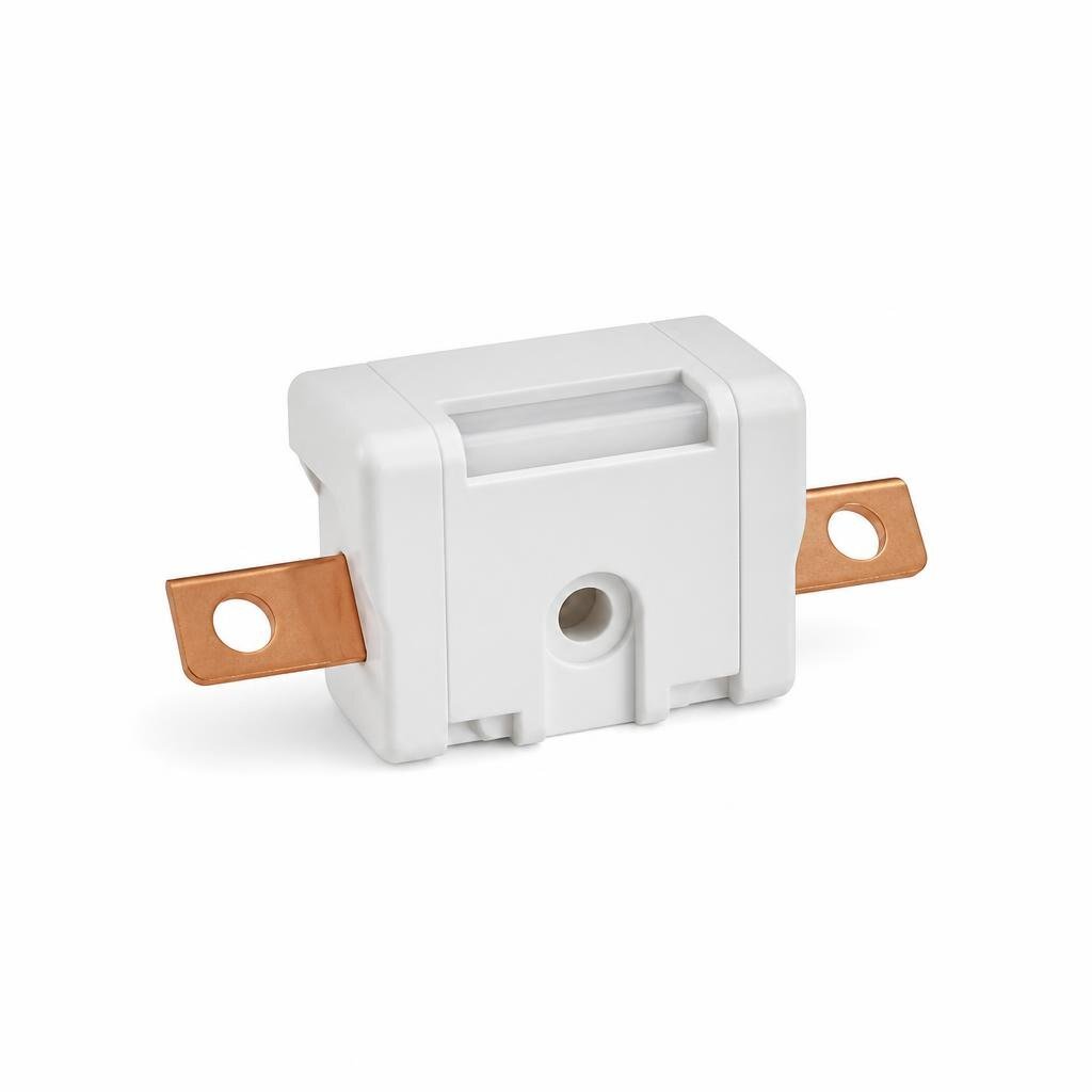 AMBER 63A1P SW FUSE
