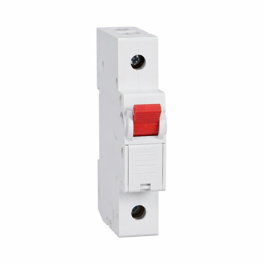 EPS 63A/1P MAIN SWITCH W/FUSE
