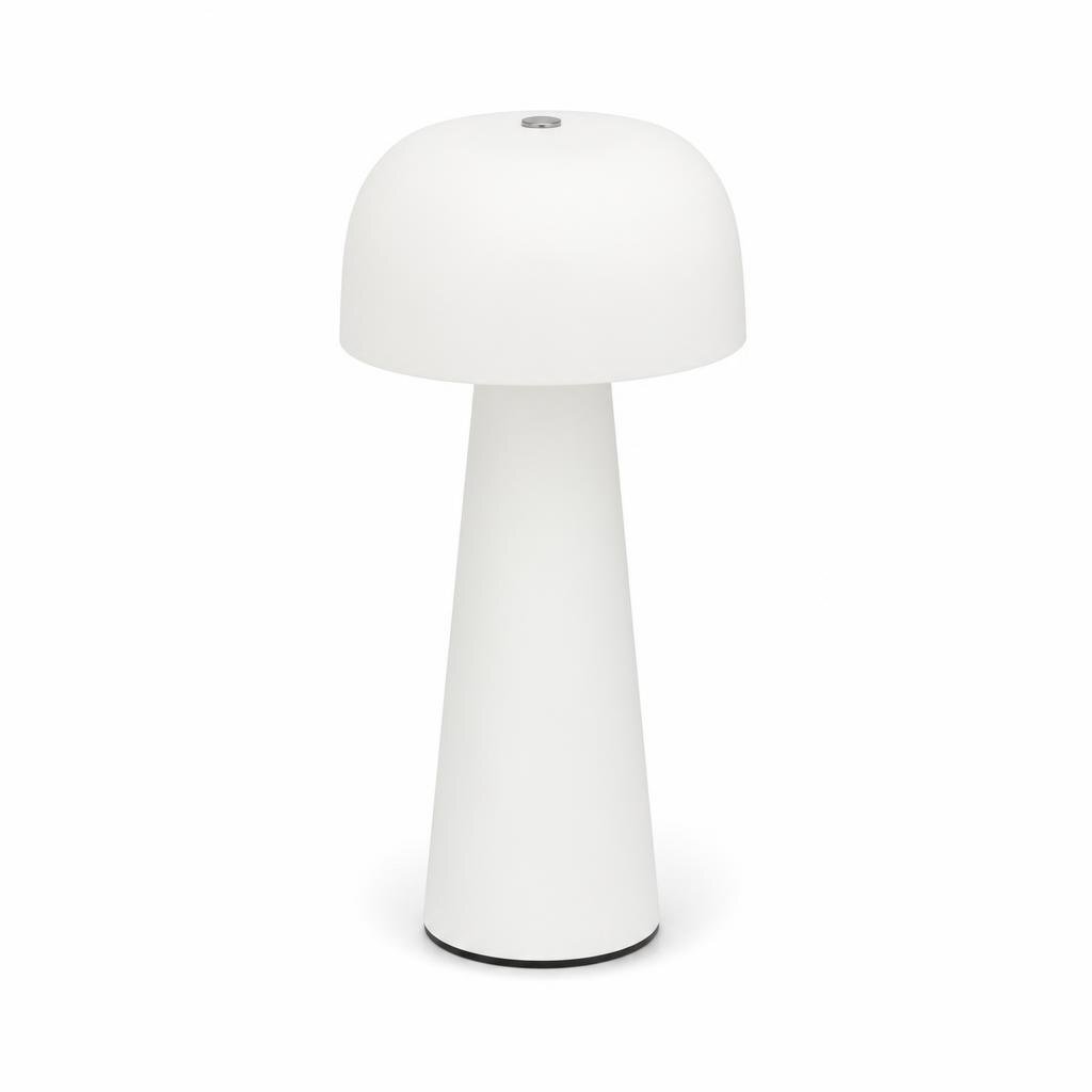NORDICA TOP LIGHT