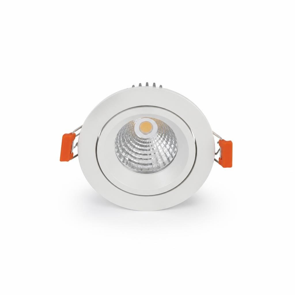 FONEMAX 30W D/L LED SPOT LIGHT FITTING