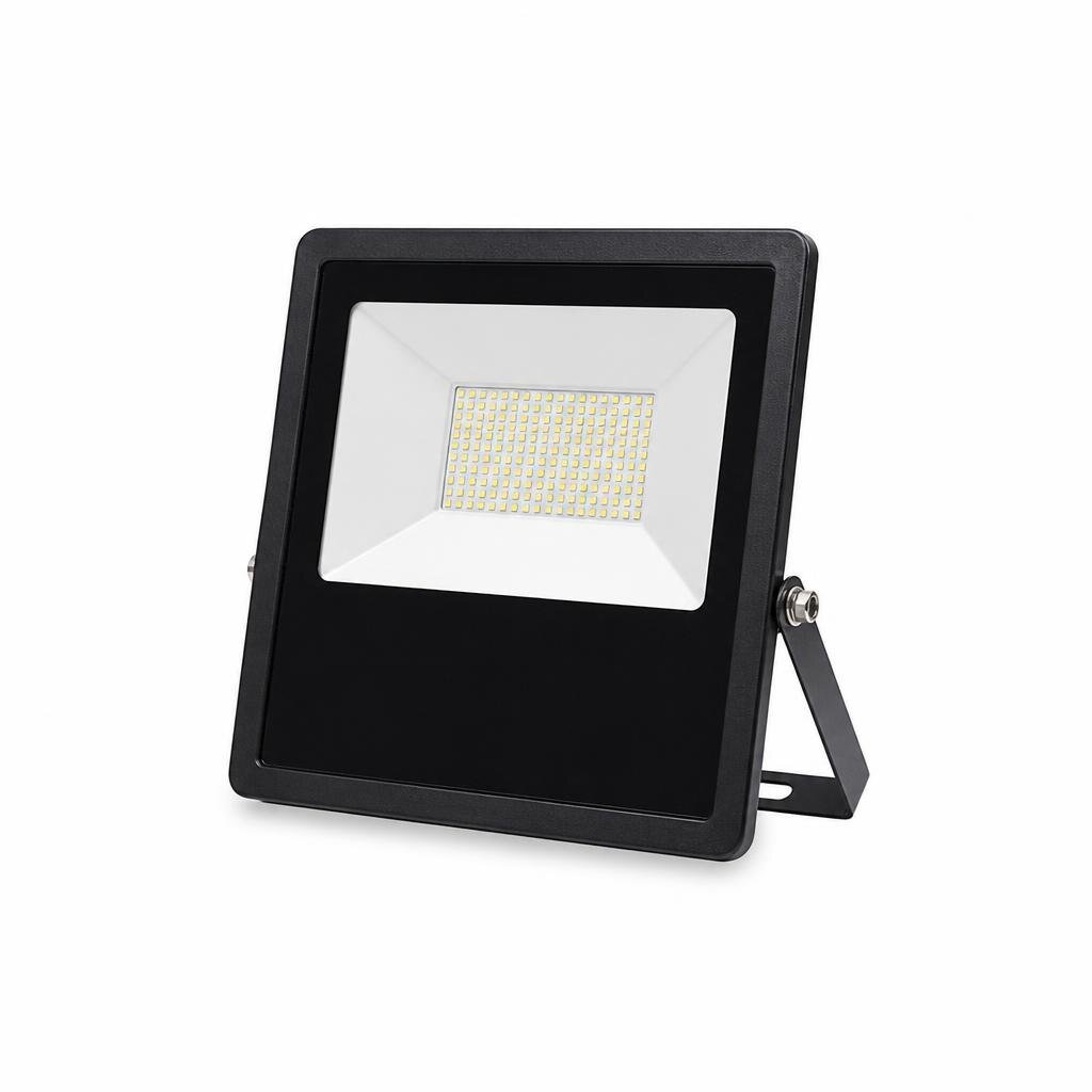 ELEGANT 100W D/L LED FLOODLIGHT