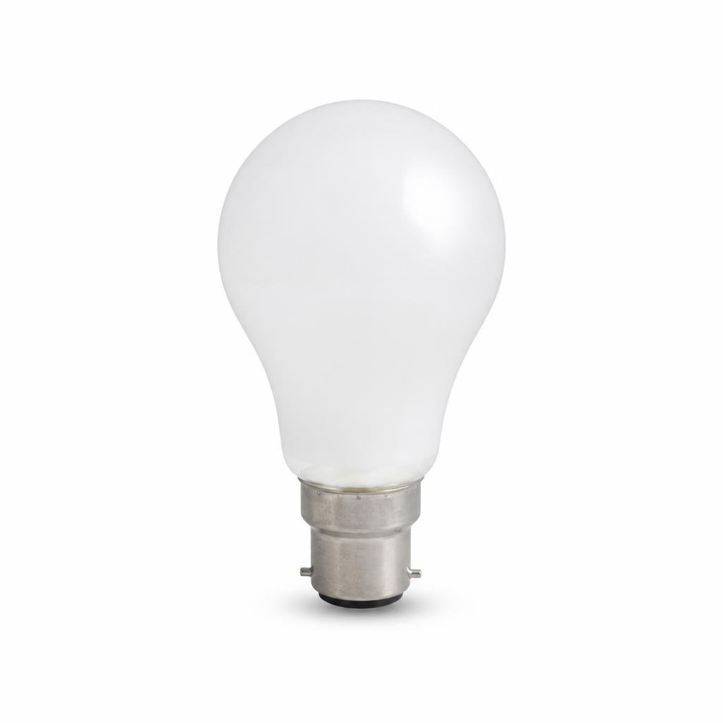 CHIYODA B22 60W FROSTED BULB