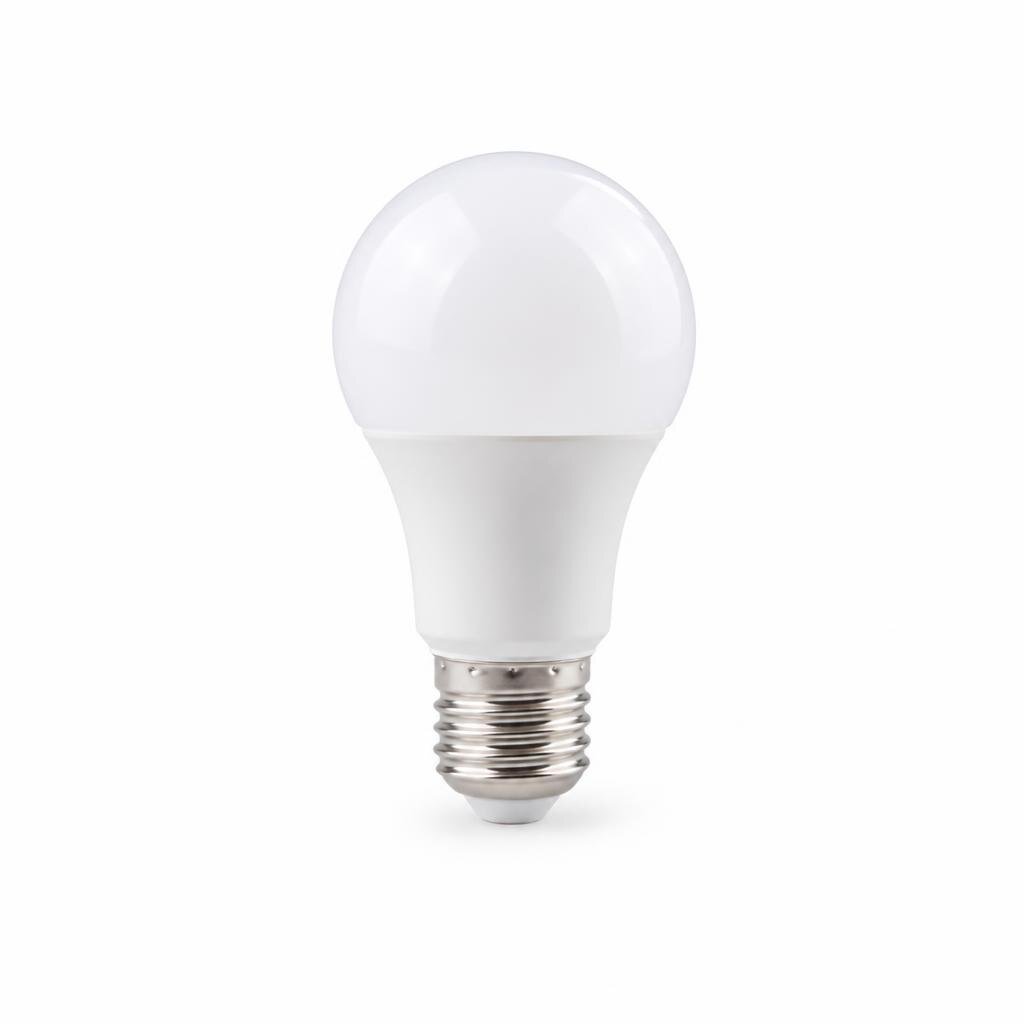 FSL E27 10W A60 LED BULB - D/L