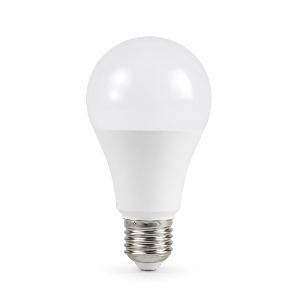FSL E27 13W A70 LED BULB - D/L