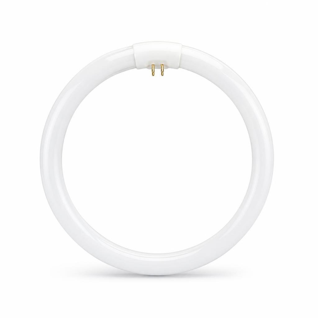 HITACHI 22W CIRCULAR TUBE - D/L