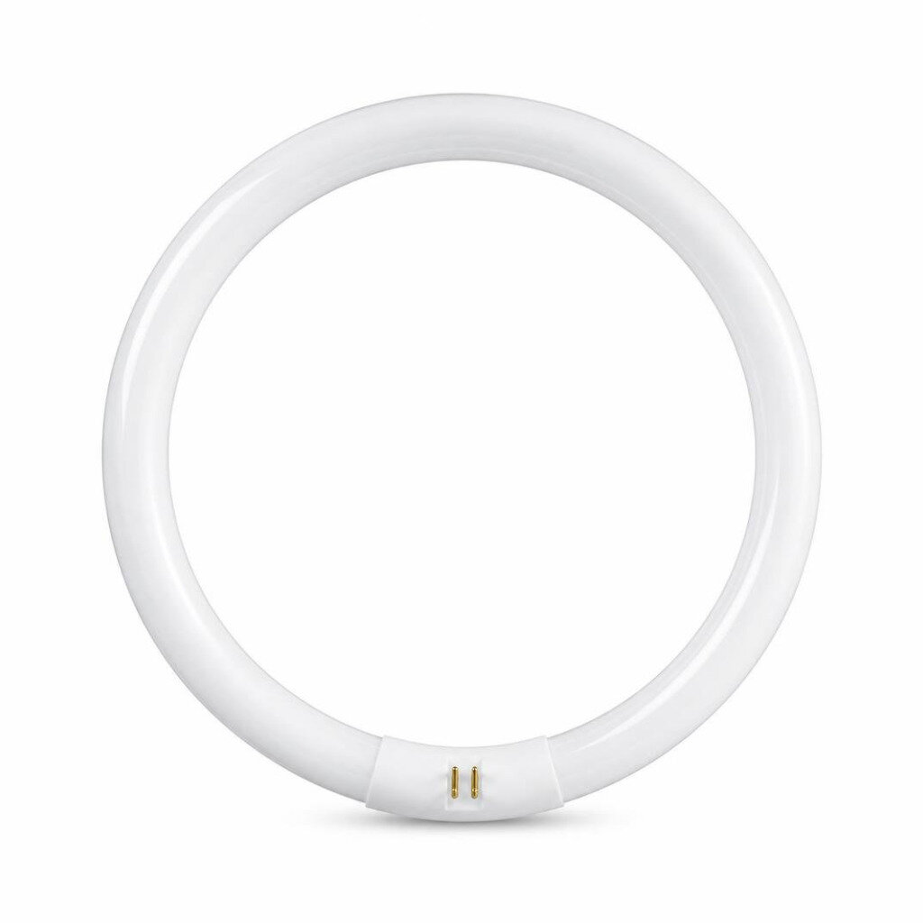 PHILIPS 22W CIRCULAR TUBE - D/L
