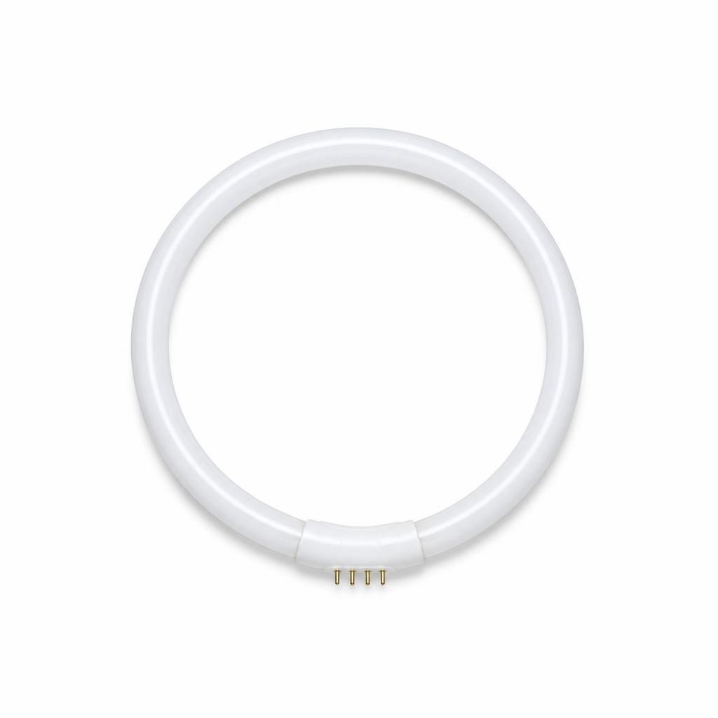 PHILIPS 40W CIRCULAR TUBE - D/L