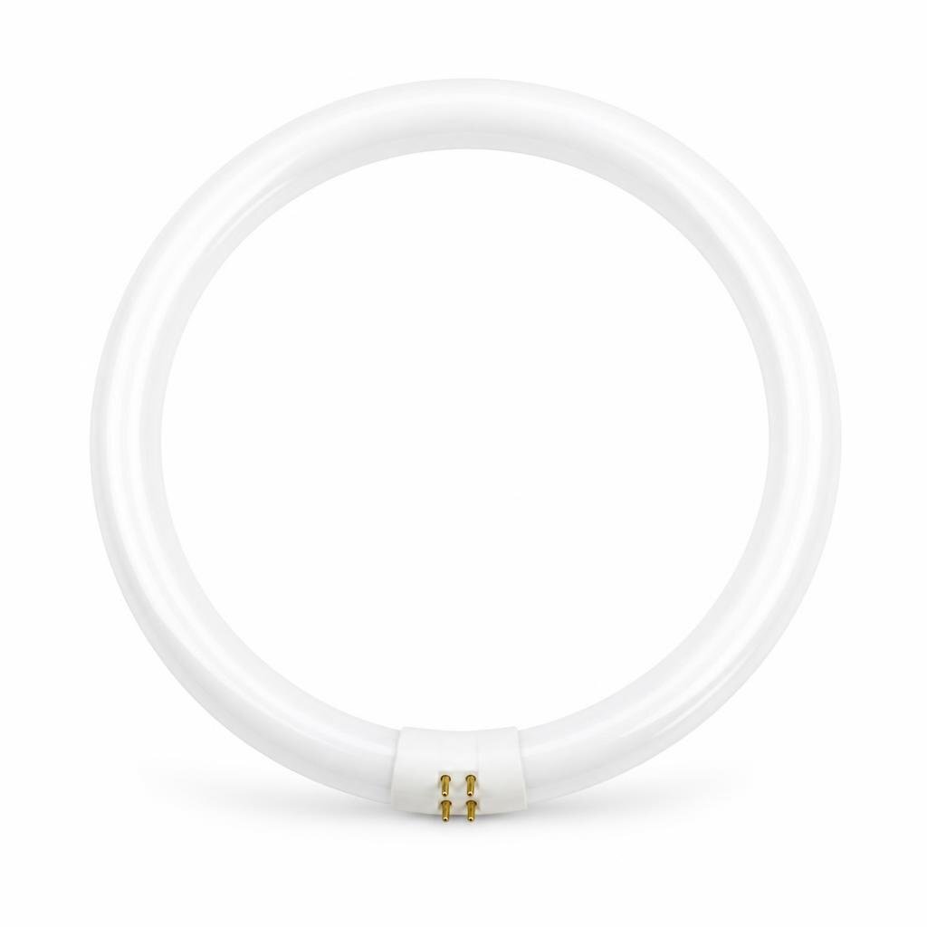 LIYODA 40W CIRCULAR TUBE - D/L