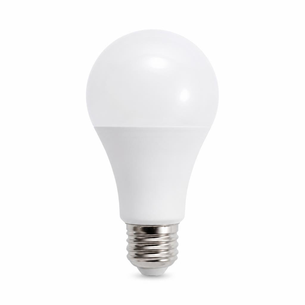 A-PRO A65 E27 13W D/L  LED BULB