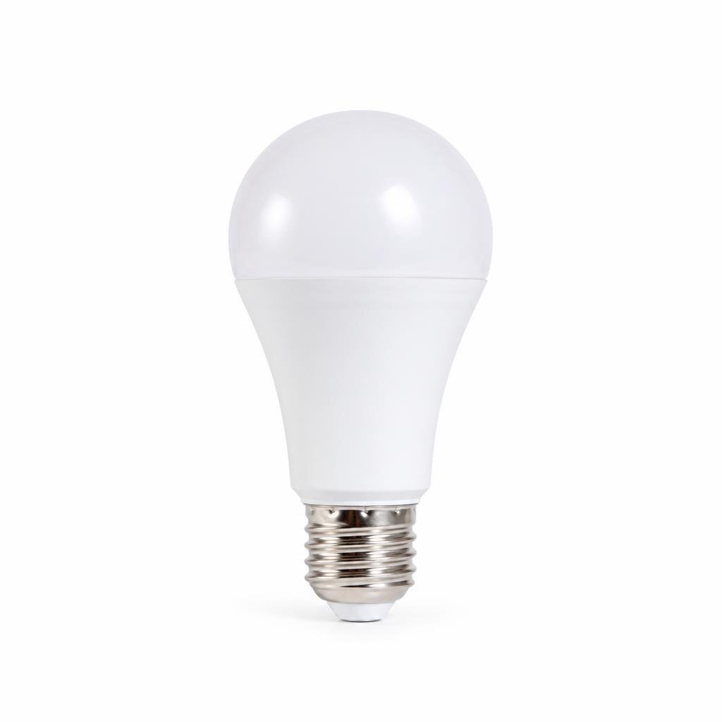 A-PRO A65 E27 13W W/W  LED BULB