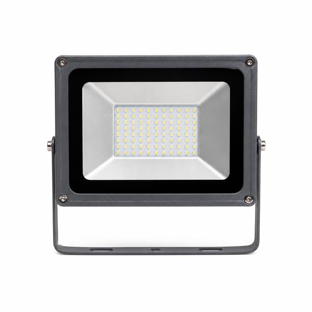 RPT 50W D/L PH CHIPS LED FLOOD LIGHT