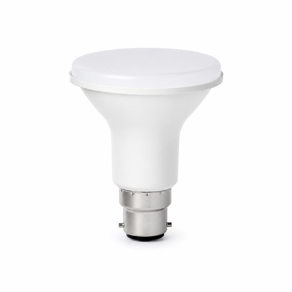 CW 13W D/L LED BULB