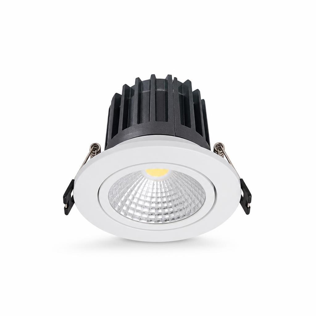 CW 30W D/L LED SPOTLIGHT