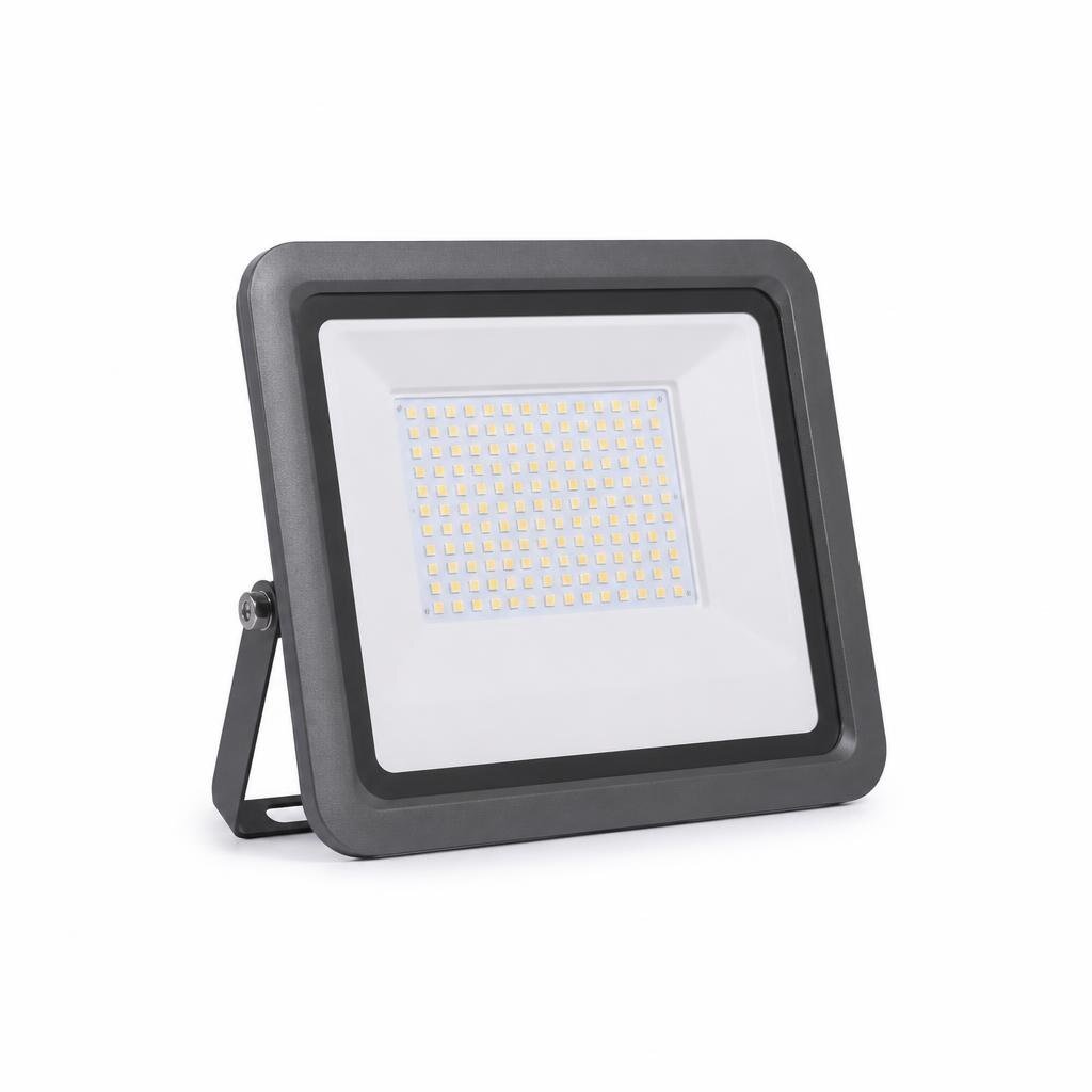 NESUX 100W D/L LED FLOOD LIGHT