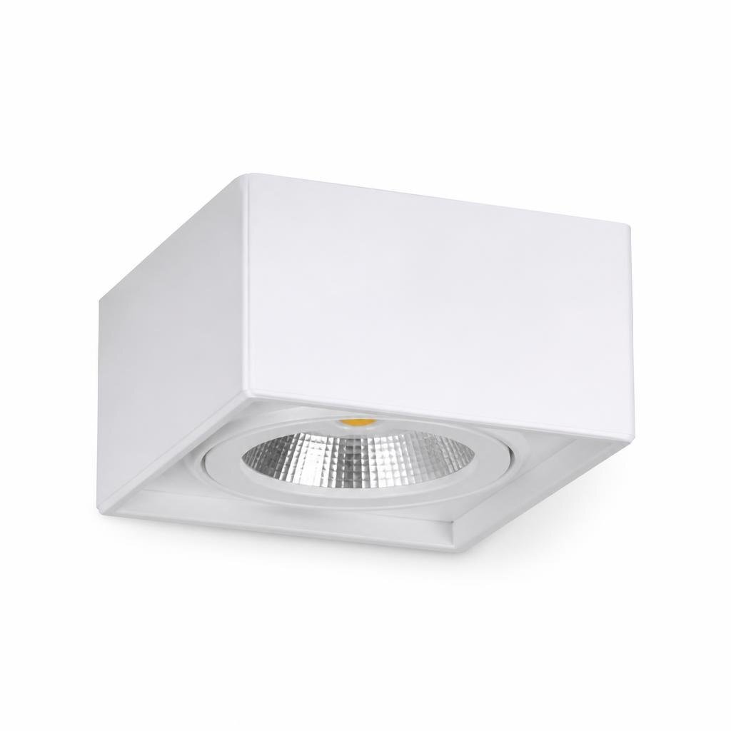 NIPPON CFR225 18W D/L SURFACE DOWNIGHT - SQUARE