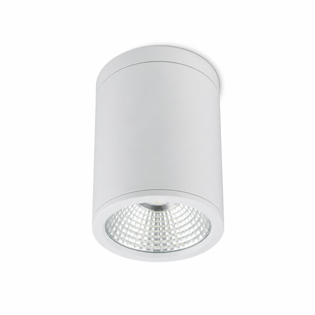 NIPPON CFR300 24W D/L SURFACE DOWNIGHT - ROUND